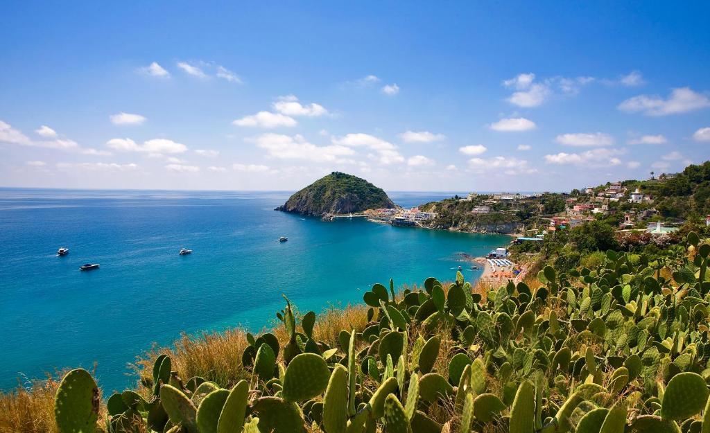 Hotel Vittorio Beach Resort Barano dʼIschia Exteriör bild